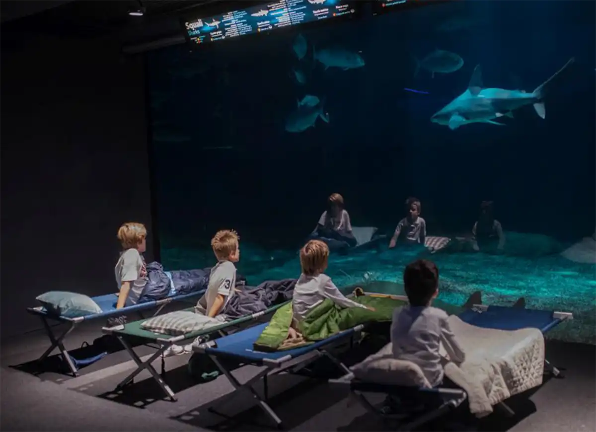 Notte con gli squali all’acquario di Genova